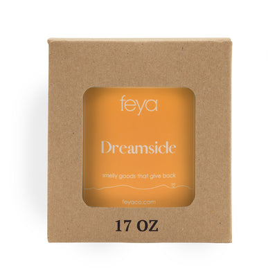 Feya Dreamsicle 17 oz Candle In Box