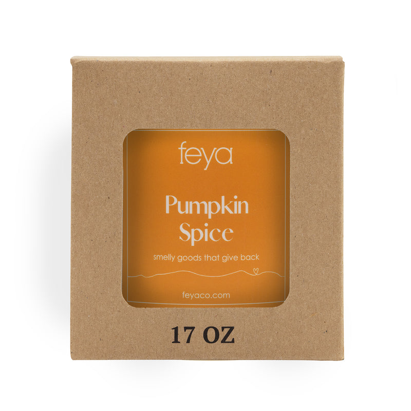 Feya Pumpkin Spice 17 oz Candle In Box