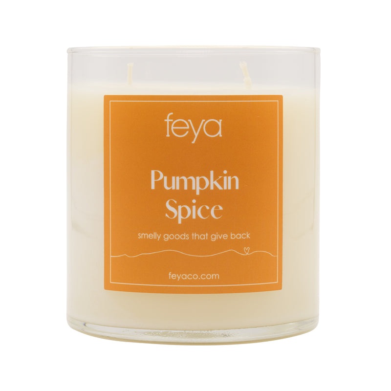 Feya Pumpkin Spice 20 oz Candle